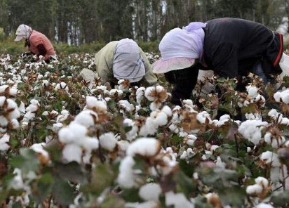 关于2017年4月中国棉花进出口关税汇率调整的通知