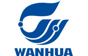 Yantai Wanhua to Build Million Tons Ethylene Project