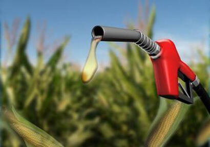 China turns to Indonesia to quench ethanol thirst in November