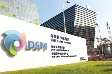 DSM launches commercial carpets to achieve material recycling