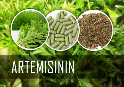 How to deal with 'artemisinin resistance'? 