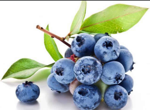 Aronia is Called Ageless Berry Due to its New Developed Founctions in 2021