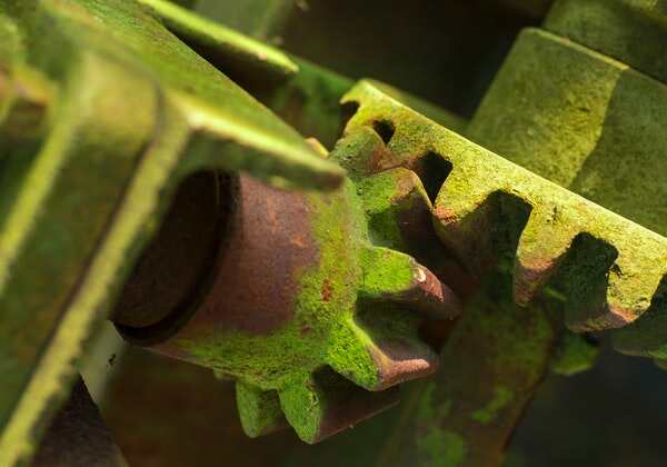 The Green Coating On Copper: Why Copper Transforms To Green?