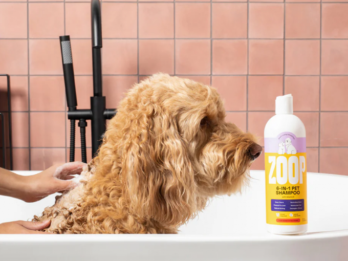 Active Concepts Unveils Innovative Pet Care Solutions with Protoype Kit