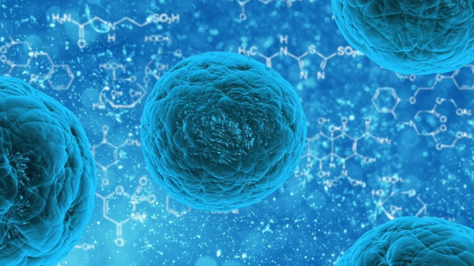Unqualified Food Products Detected in Guangdong: Microbial Contamination, Veterinary Drug Residues, and Food Additives