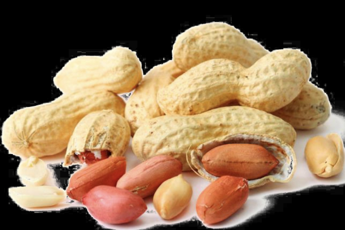 Excessive Aflatoxin Levels Detected in U.S. Exported Peanuts ...