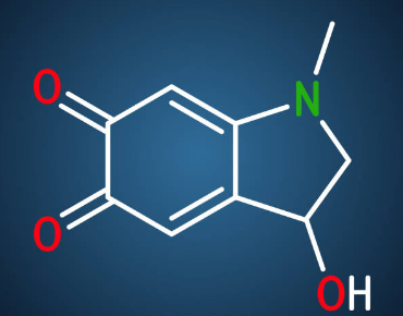 Where Does Adrenochrome Come From? The Truth Behind the Unstable ...