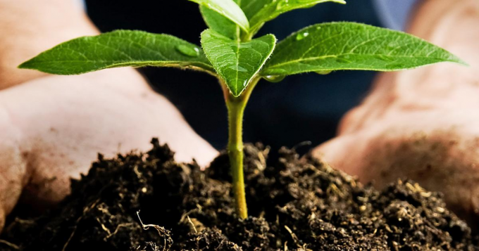 Determination of Molecular Weight MgSO4·7H2O: An Essential Parameter for Chemical Analysis