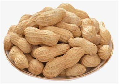 US Peanut Exports Exceed Aflatoxin Limits, Raising Global Food Safety ...