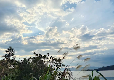 The Agrorus(2024) will be held in St. Petersburg from August 28 to 30