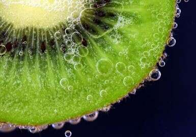 近期全球食品政策与违规通报概览（12.16-12.20）