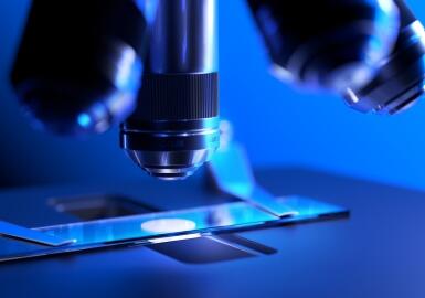 FDA：滑石粉化妆品将强制检石棉