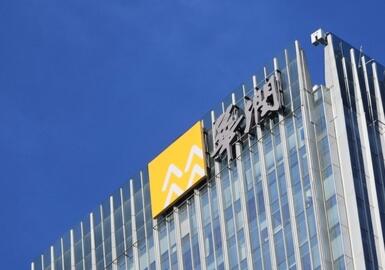 华润3千万涂料招标北新嘉宝莉中标