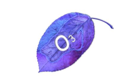 巴基斯坦2025年起禁消耗臭氧层材料