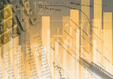 2024年度业绩预告：五家上市公司的财务展望与挑战