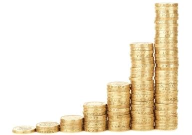 PPS龙头新和成24年赚58-62亿