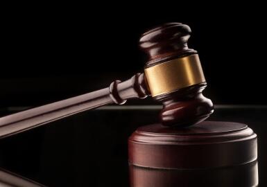 核子基因和其法定代表人张核子因未履行法院判决，成为限制消费令的被执行人。