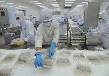 Vietnam’s Seafood Exports Surge 20 Percent to $6.2 Billion China Hong Kong Overtakes US as Top Market Amid Trade Headwinds Vietnam’s Seafood Exports Surge 20 Percent to $6.2 Billion China Hong Kong Overtakes US as Top Market Amid Trade Headwinds