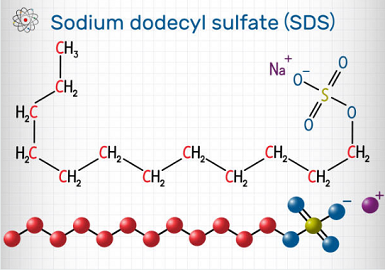 Sodium Dodecyl Sulfate (SDS): Properties, Uses, and Safety Sodium Dodecyl Sulfate (SDS): Properties, Uses, and Safety