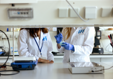 BASF and IFF Collaborate to Accelerate Innovation in Enzymes and Polymers BASF and IFF Collaborate to Accelerate Innovation in Enzymes and Polymers