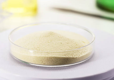 Sodium Alginate: Properties, Uses, and Benefits Sodium Alginate: Properties, Uses, and Benefits