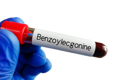 Benzoylecgonine: Detection and Testing Methods